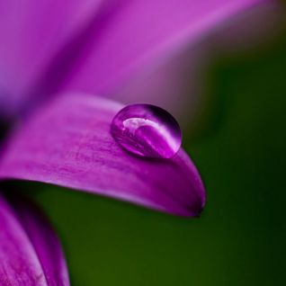 Ms Skyrym's Sunday Mixtape Episode 29