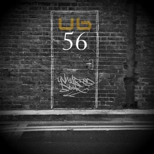 Unmarked Door UBRadio 56