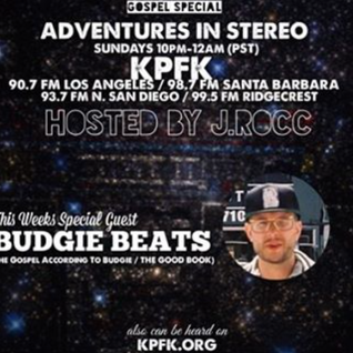 ADVENTURES IN STEREO w/ BUDGIE BEATS