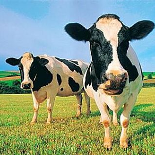 Quietmusic - June 26 (Hour 3 excerpt)