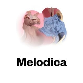 Melodica 18 April 2016