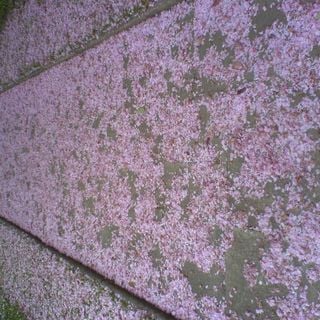 Epoch's Fables Vol.24