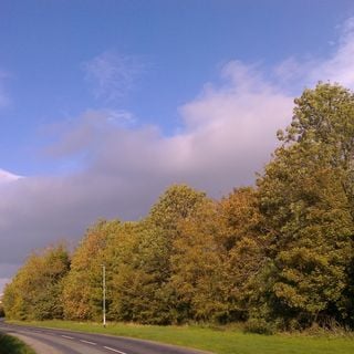 Epoch's Fables Vol.314