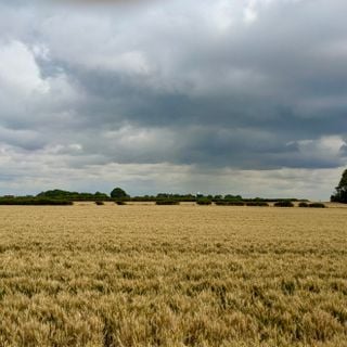 Epoch's Fables Vol.432