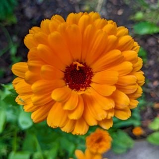 Epoch's Fables Vol.429