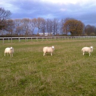 Epoch's Fables Vol.317