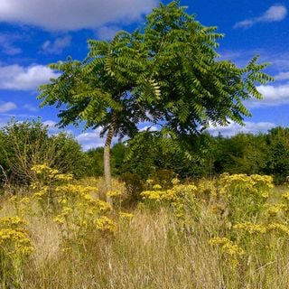 Epoch's Fables Vol.399