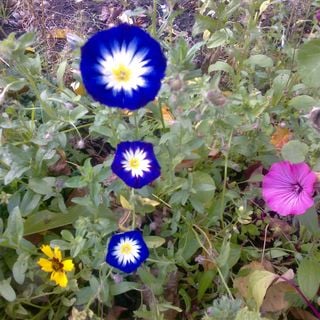 Epoch's Fables Vol.312