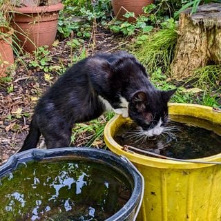 Epoch's Fables Vol.436