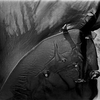 Epoch's Fables Vol.198