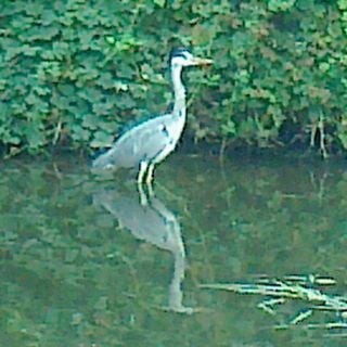 Epoch's Fables Vol.100