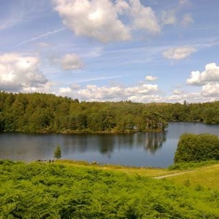 Epoch's Fables Vol.213