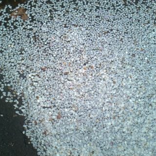 Epoch's Fables Vol.124