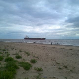 Fila Brazillia(Pork's Picks Vol.2)