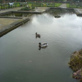 Epoch's Fables Vol.37