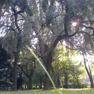 Epoch's Fables Vol.271