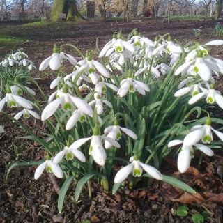 Epoch's Fables Vol.115