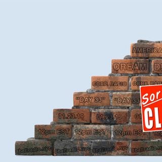 AMERICAN DREAM CORP "Day 33" 01.23.19