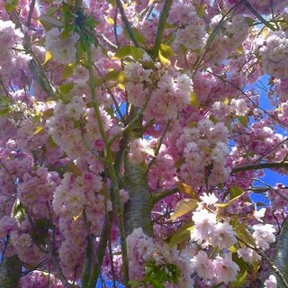 Epoch's Fables Vol.352