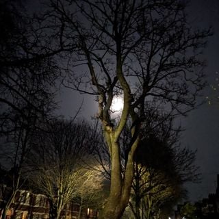 Epoch's Fables Vol.443