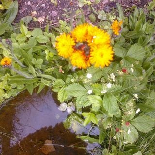 Epoch's Fables Vol.330