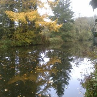 Epoch's Fables Vol.242