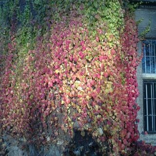 Epoch's Fables Vol.149