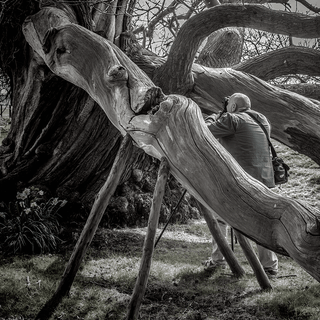 Epoch's Fables Vol.279