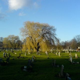 Epoch's Fables Vol.64