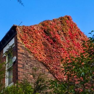 Epoch's Fables Vol.457