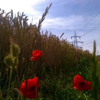 Epoch's Fables Vol.389