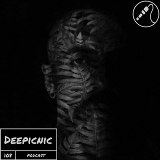 Deepicnic Podcast 108 - Bernardo Hangar