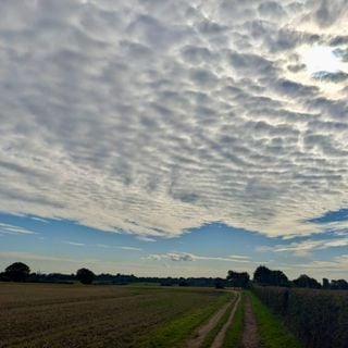 Epoch's Fables Vol.488