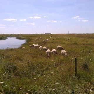 Epoch's Fables Vol.307