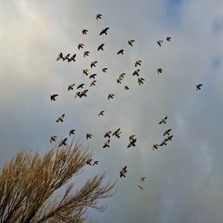 Epoch's Fables Vol.446