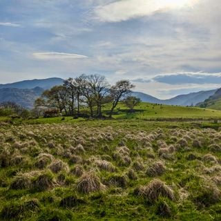 Epoch's Fables Vol.453