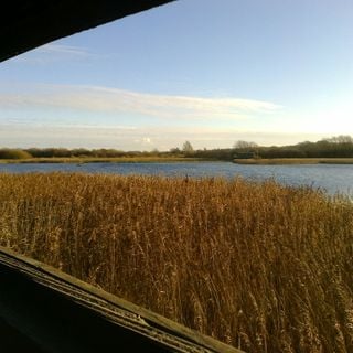 Epoch's Fables Vol.223