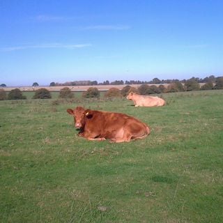 Epoch's Fables Vol.187