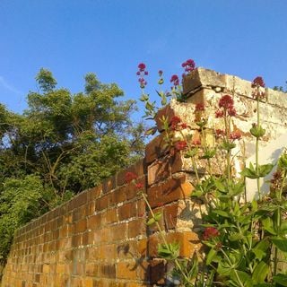 Epoch's Fables Vol.384