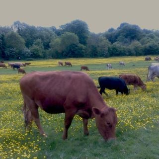 Epoch's Fables Vol.326