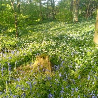 Epoch's Fables Vol.65