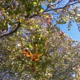 Epoch's Fables Vol.313