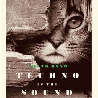 Frank Rush Techno Is The Sound #12