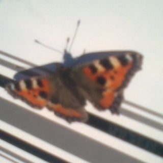 Epoch's Fables Vol.82