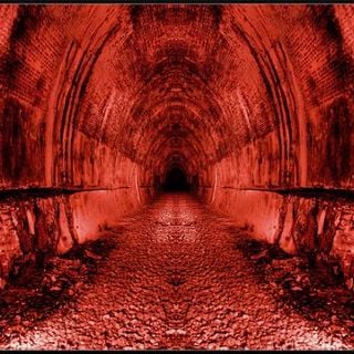 Der Rohdog gate zero