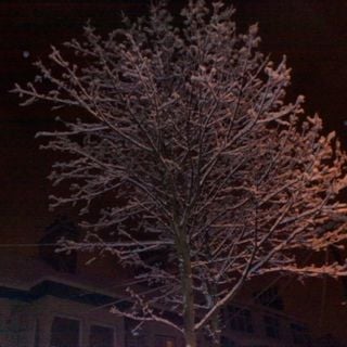 Epoch's Fables Vol.114