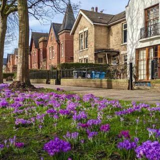 Epoch's Fables Vol.470