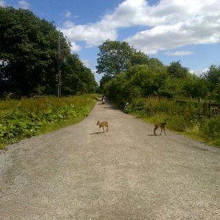 Epoch's Fables Vol.278