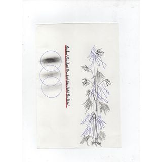 "shadowshadow" AMERICAN DREAM CORP 05.29.19