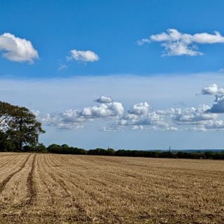 Epoch's Fables Vol.483